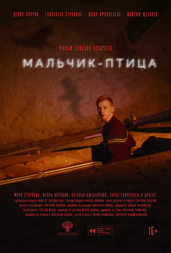 Мальчик-птица постер - смотреть онлайн